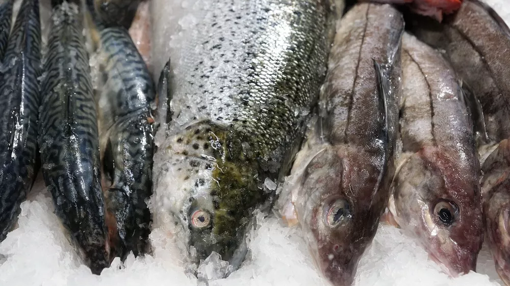 pescado-supermercado_98