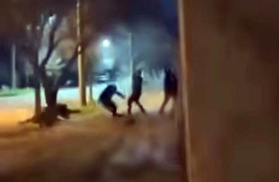 pelea