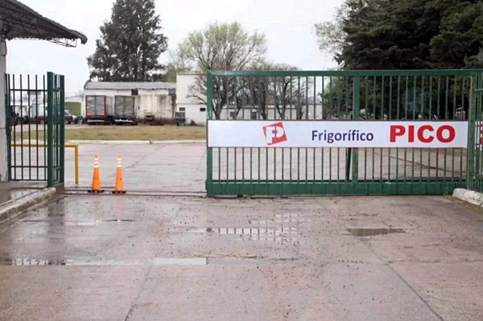 frigorifico pico