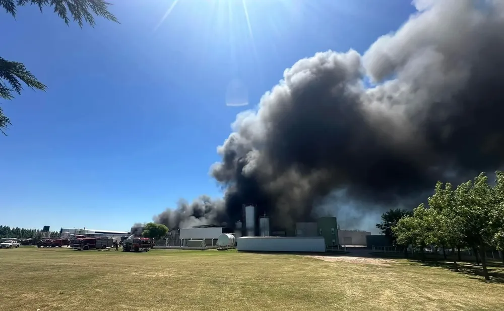 FB_IMG_1766867643268