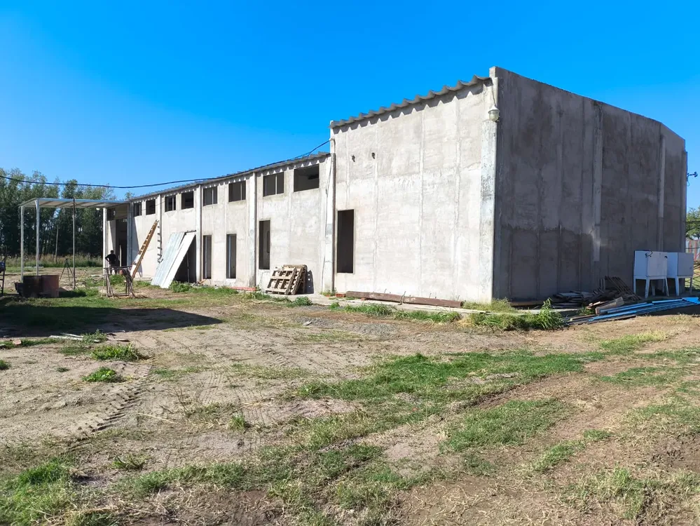 frigorifico Castex 2