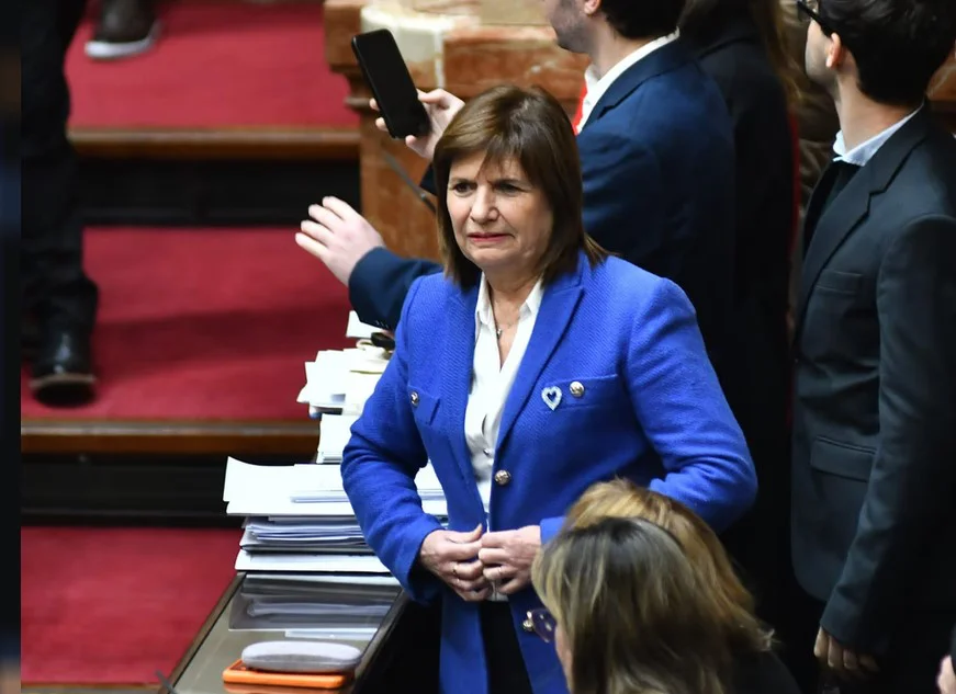 PATRICIA BULLRICH SENADO