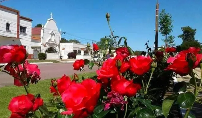 Fiesta de la Rosa 1