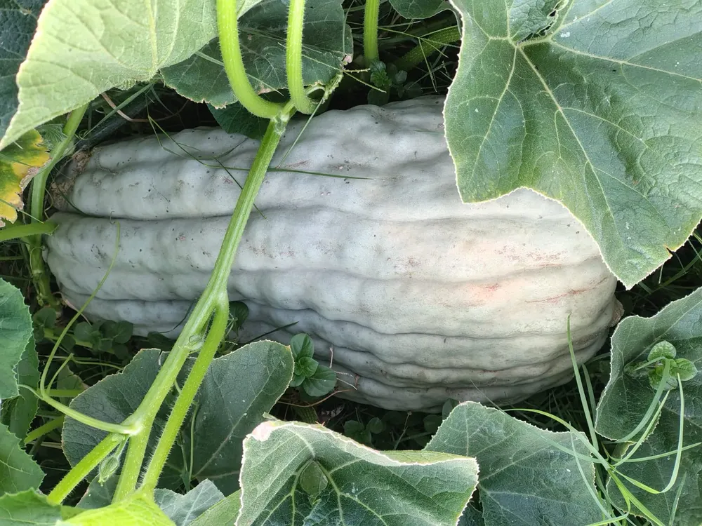 70baad99-7c53-4efb-84b7-a5f23aeb1774